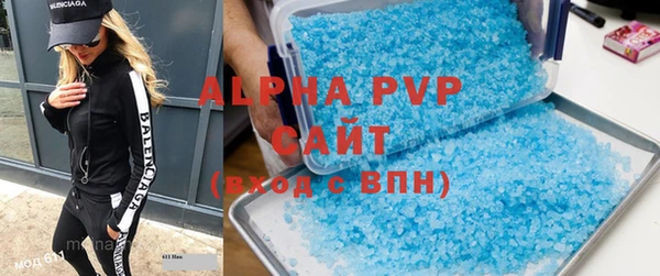 индика Покачи