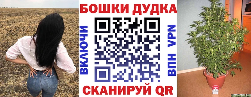 Шишки марихуана конопля Большой Камень